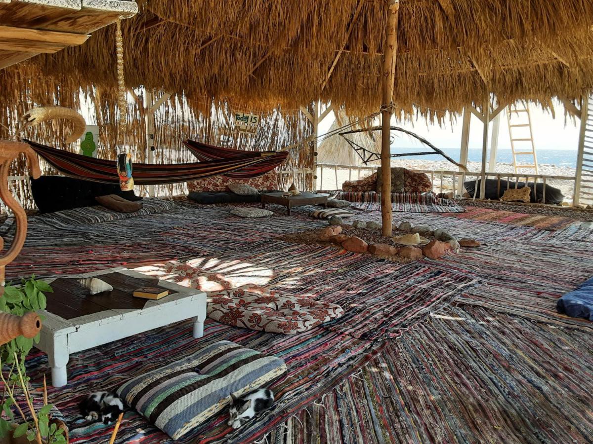 Cosmos And Spiritual Community * Dahab