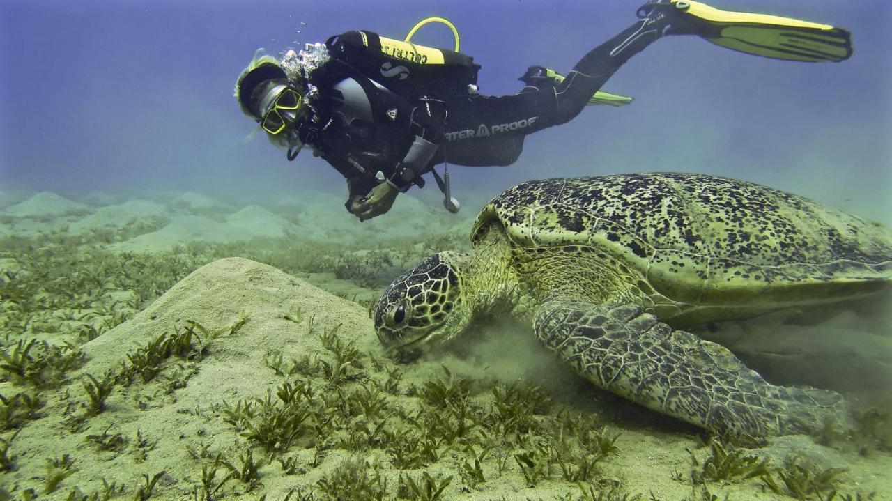 Deep Ashri * Marsa Alam