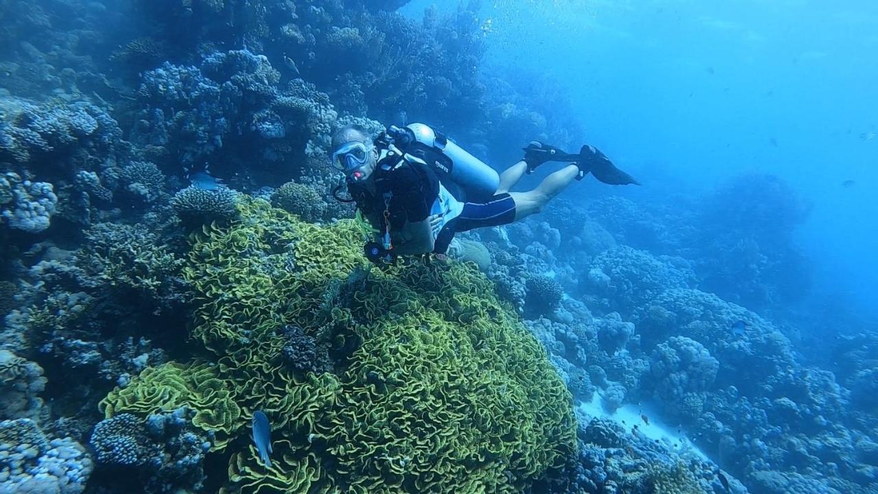 Deep Ashri Marsa Alam