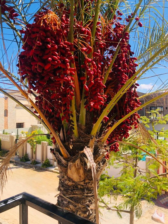 Lovely 5- Bedroom With Overflow Pool With Garden At Oasis * Alexandria