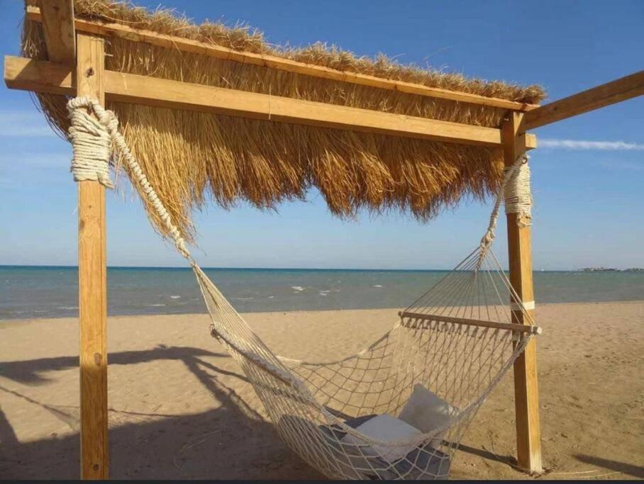 Apartment Luxurious Sea View 2 Bedroom & Private Garden To The Pool At Mangroovy *