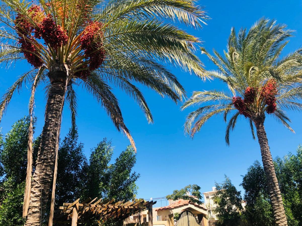 Lovely 5- Bedroom With Overflow Pool With Garden At Oasis Villa Alexandria