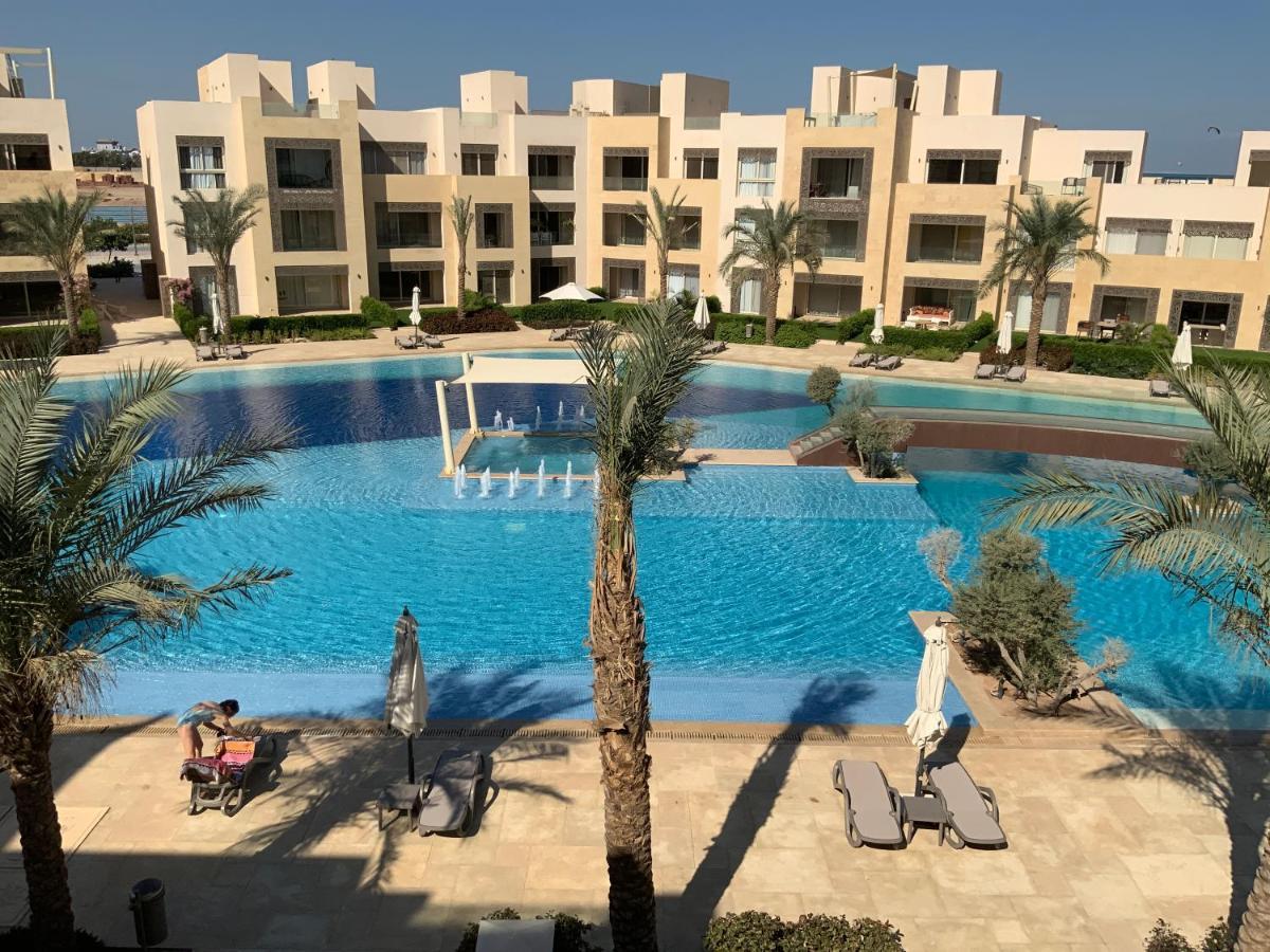 Elgouna Egypt Mangroovy *
