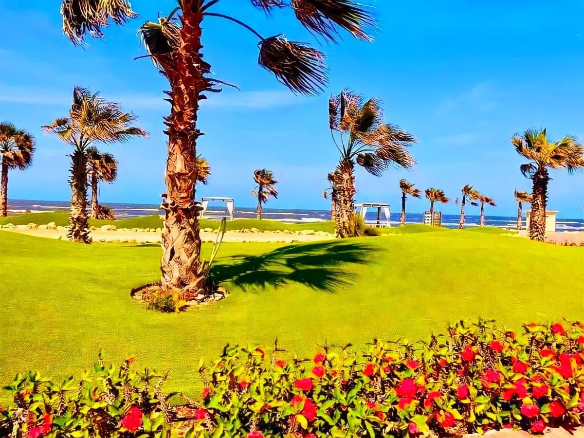 ملكى صف اول بحر بورتو سعيد Port Said