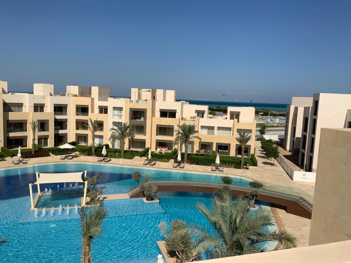 Elgouna Egypt Mangroovy
