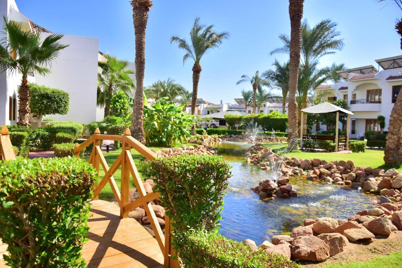 Resort Dive Sharm el-Sheikh
