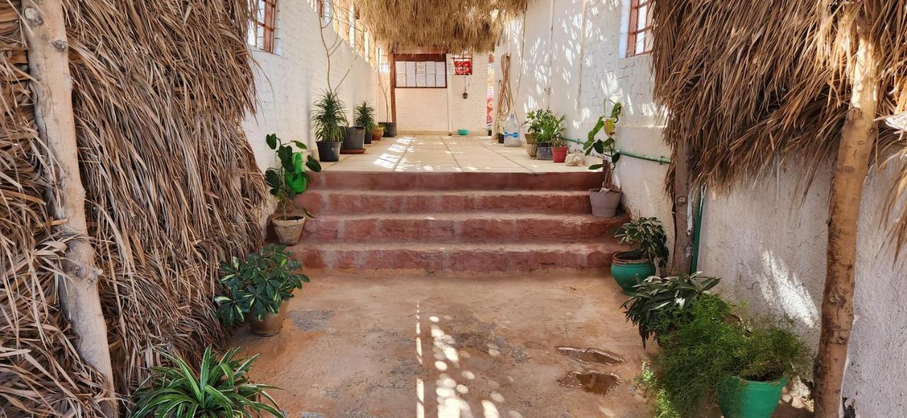 Guest house Rayhana 3*