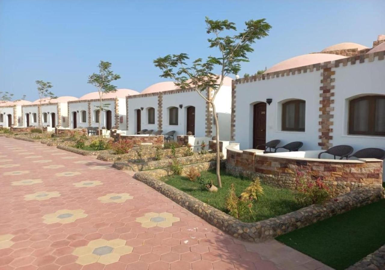 Hotel Dolphin Continental 3*
