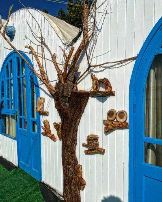 Dream House Guest house Dahab