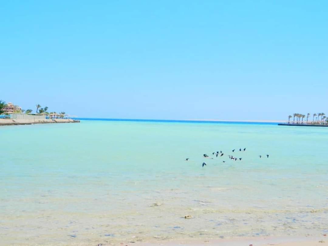 Scandic Hurghada