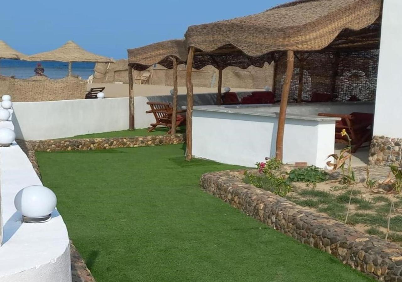Dolphin Continental 3*