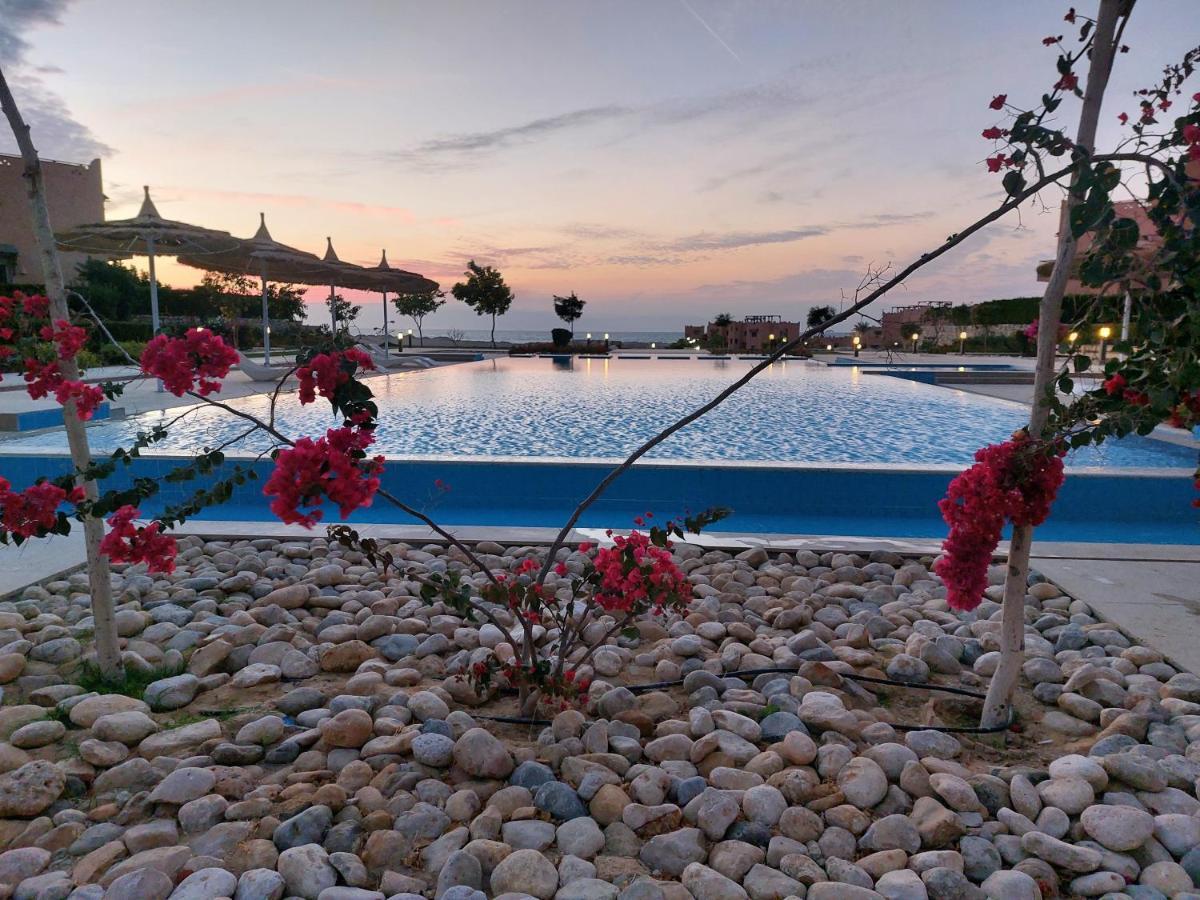 La Hacienda - - Ras Sedr