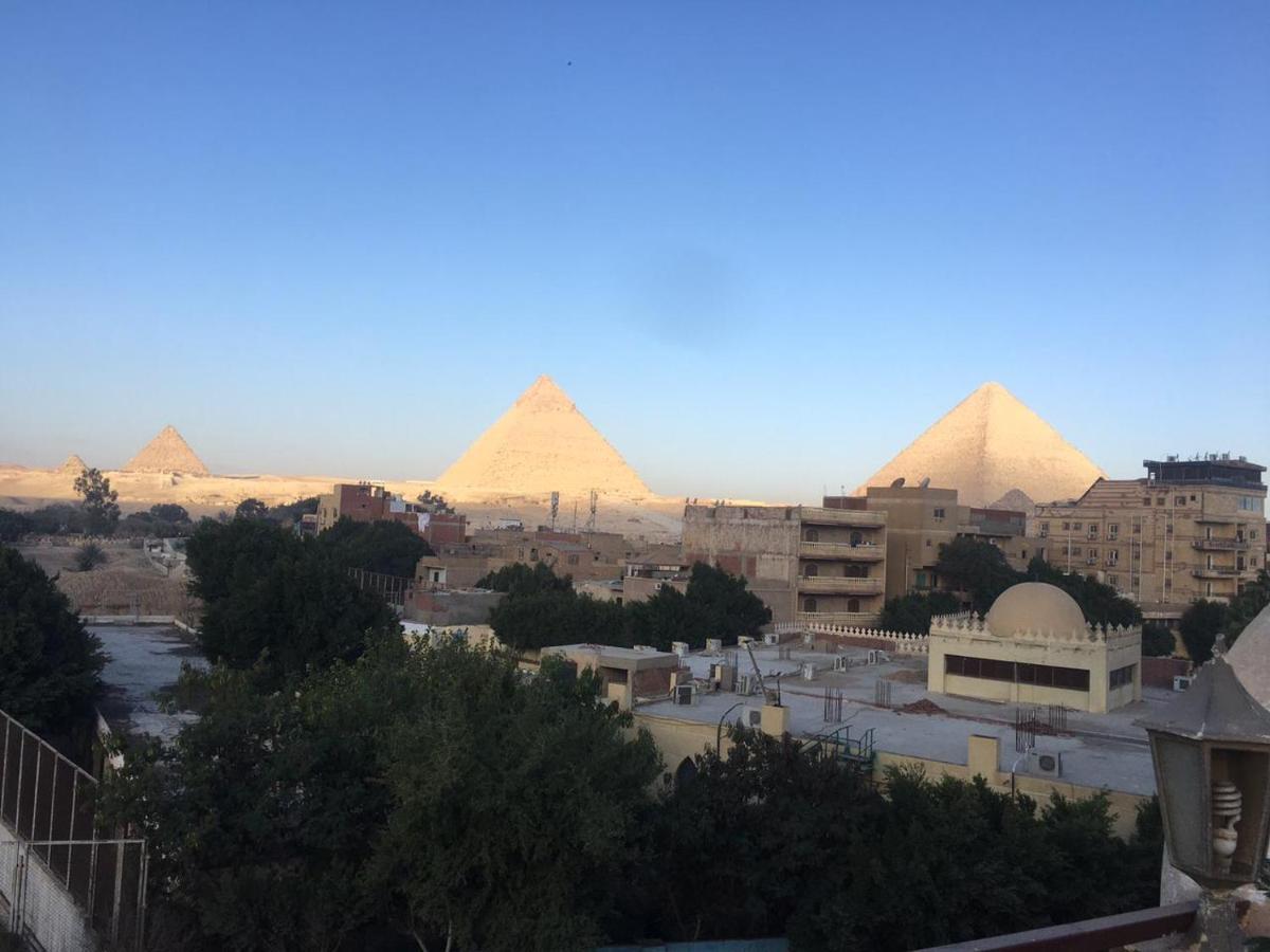 Timo * Cairo