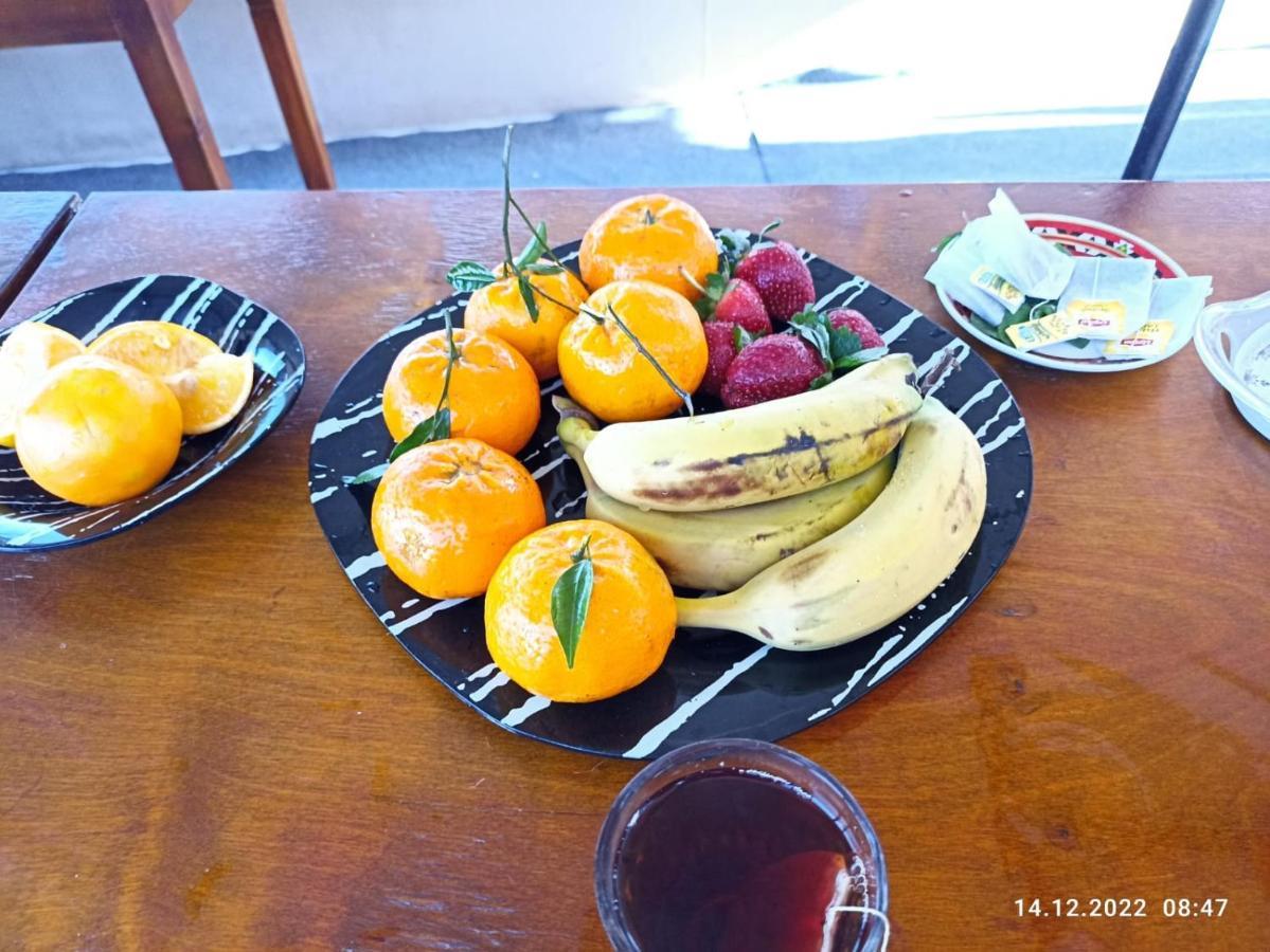 Botel Houseboat And Nile Cruises Zainoba *