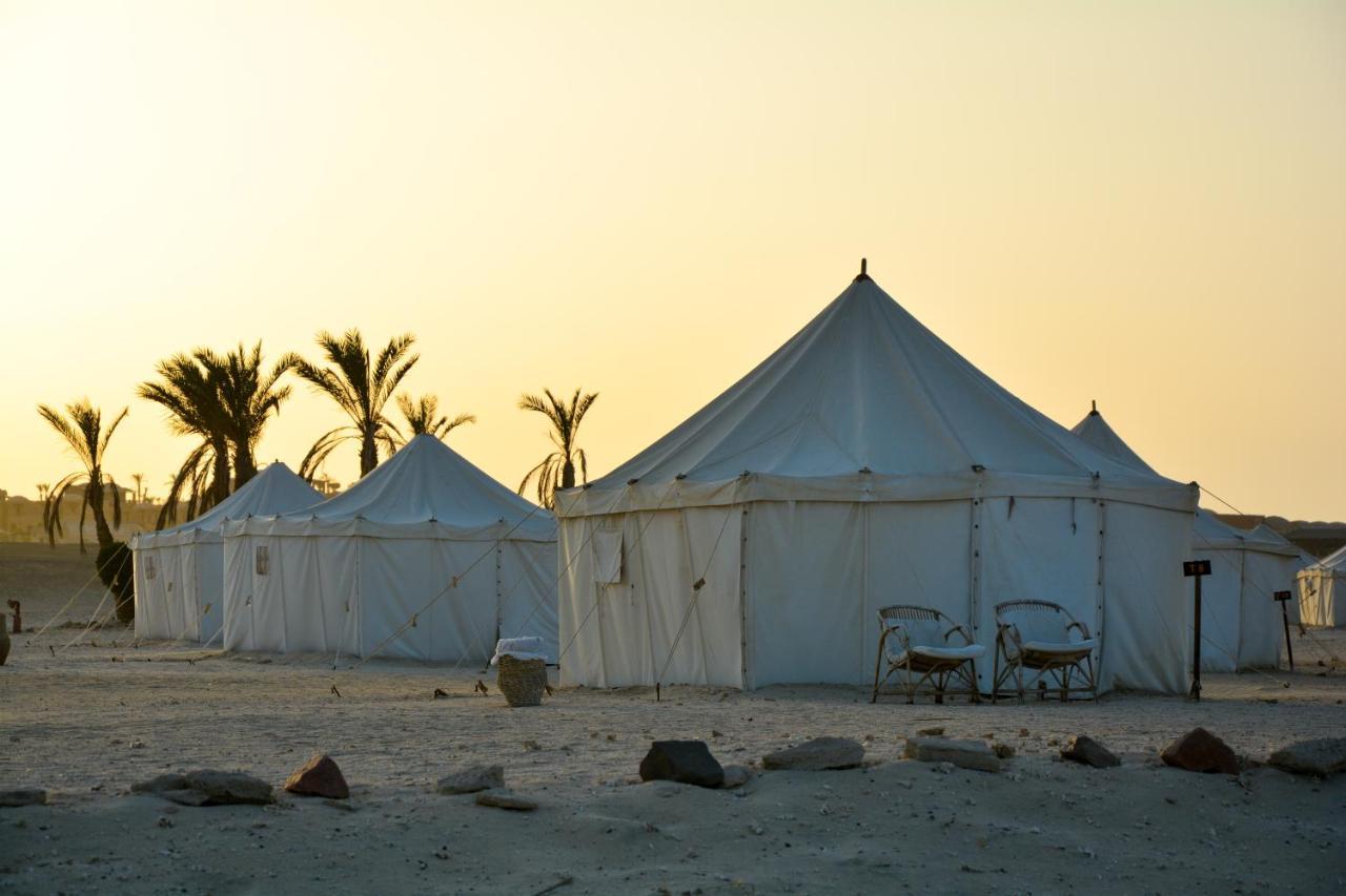 Marsa Shagra Village Lodge Abu Dabab