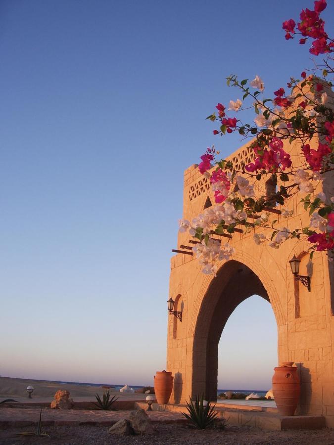 Marsa Shagra Village Lodge Abu Dabab