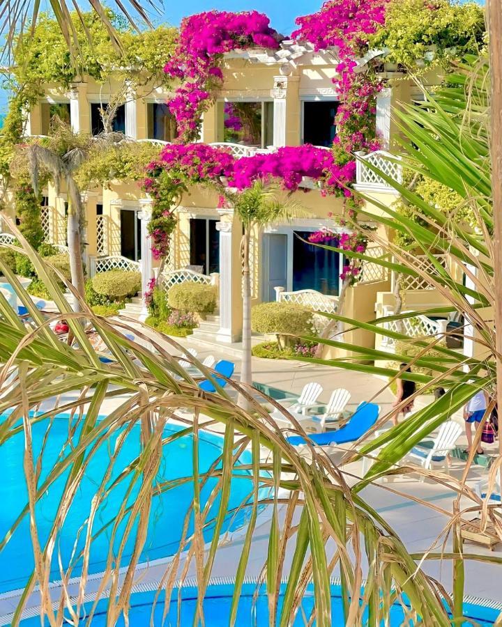 Paradise Alexandria