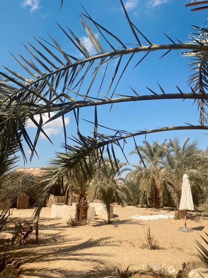Siwa Desert *
