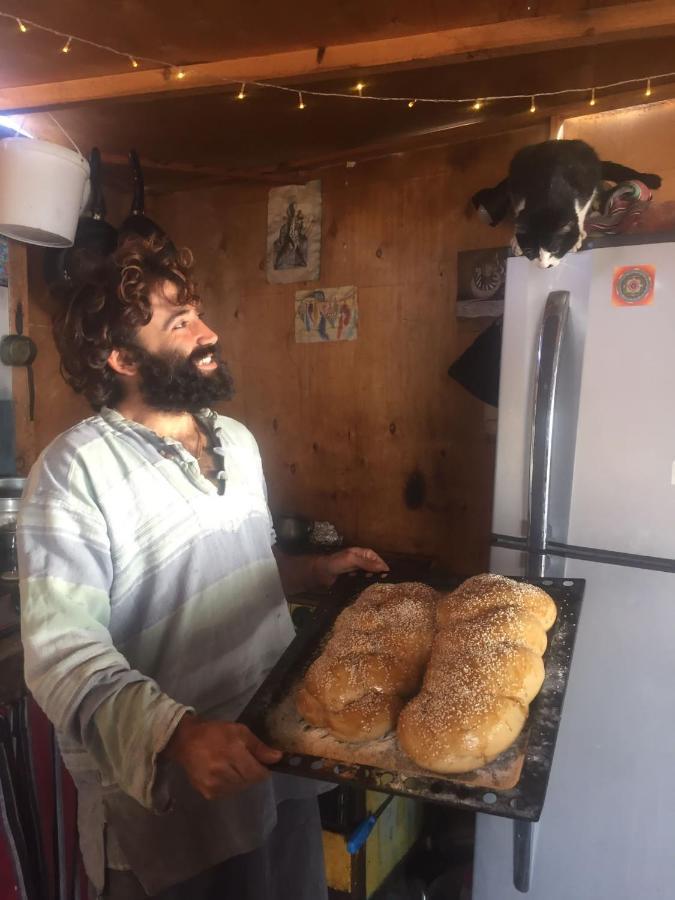 Campsite Cosmos And Spiritual Community *