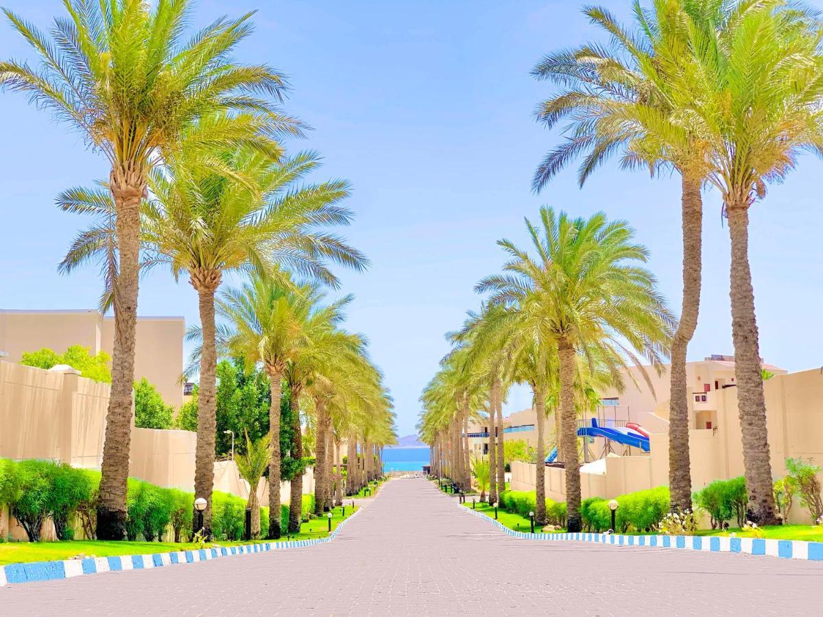 Ivy Cyrene Island Aqua Park (adults Only) Complex Sharm el-Sheikh