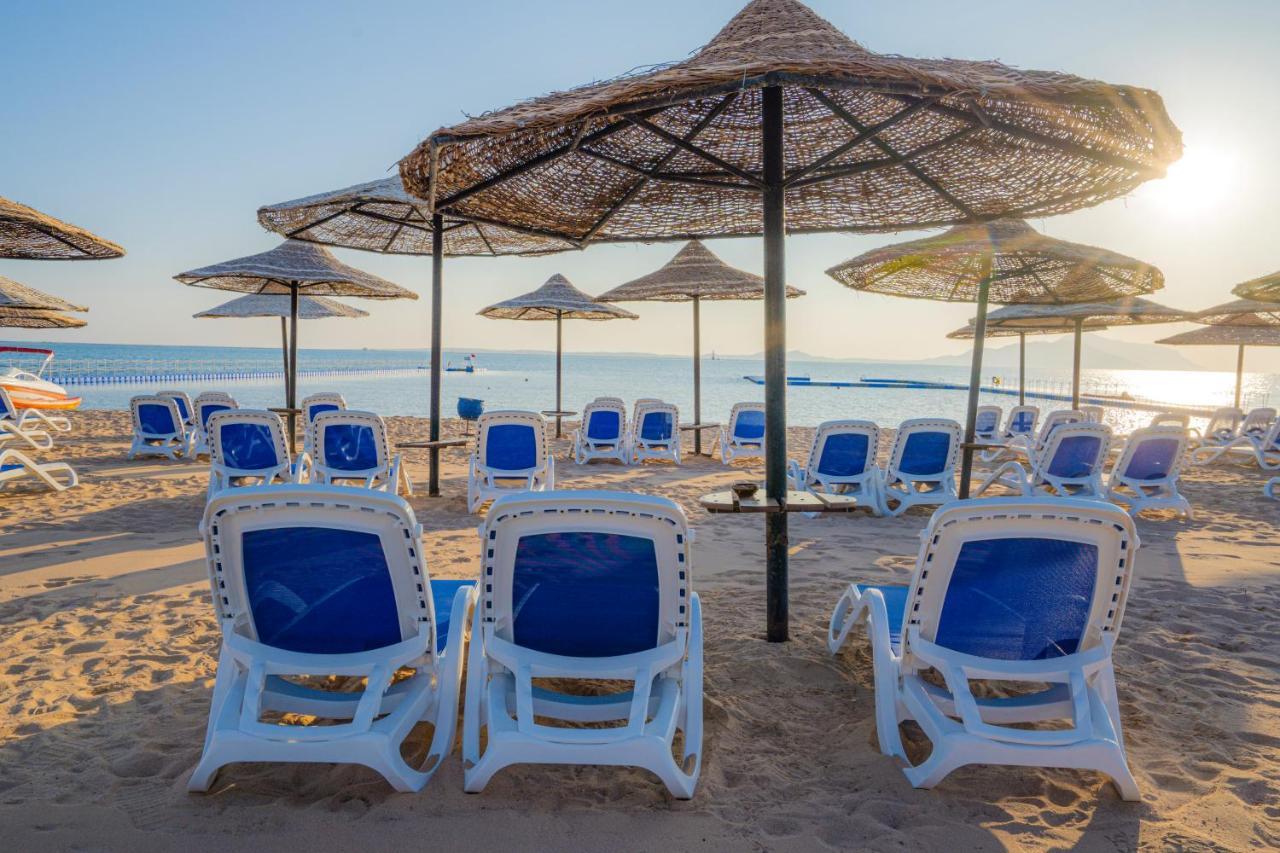 Ivy Cyrene Island Aqua Park (adults Only) Resort Sharm el-Sheikh