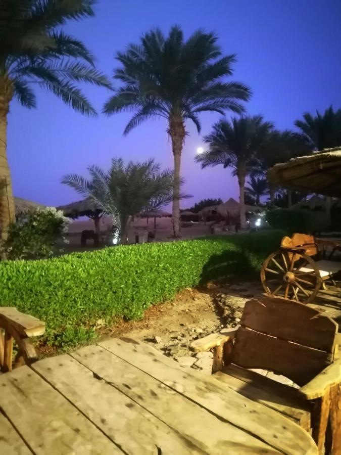 Palma Hurghda * Hurgada