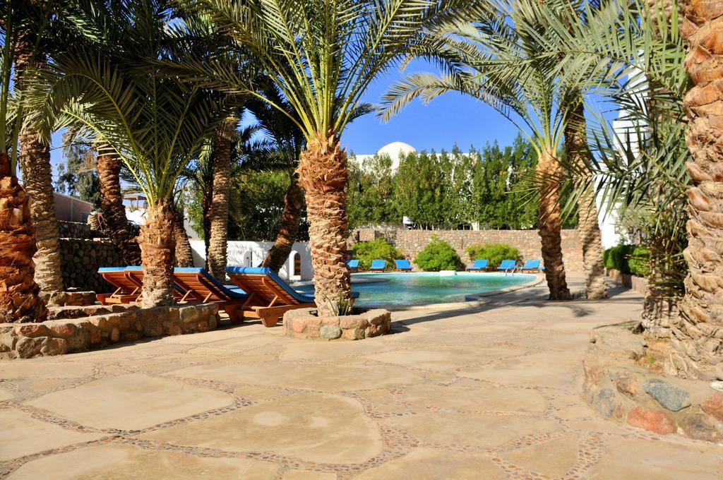 Divers Hostel *