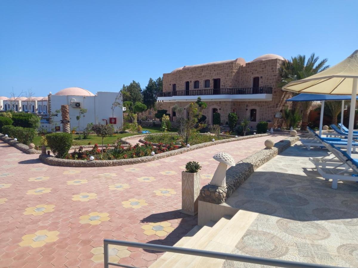 Dolphin Continental 3* El Qoseir