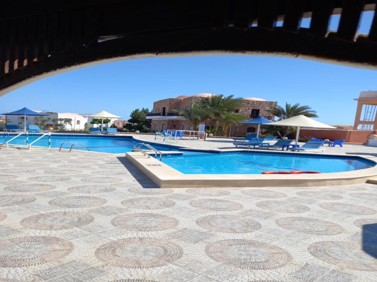 Dolphin Continental 3* El Qoseir