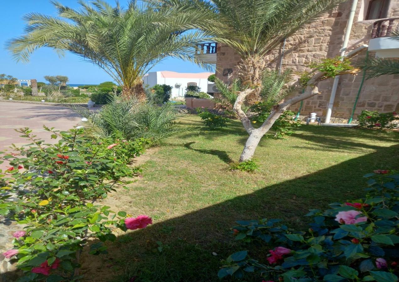 Dolphin Continental Hotel