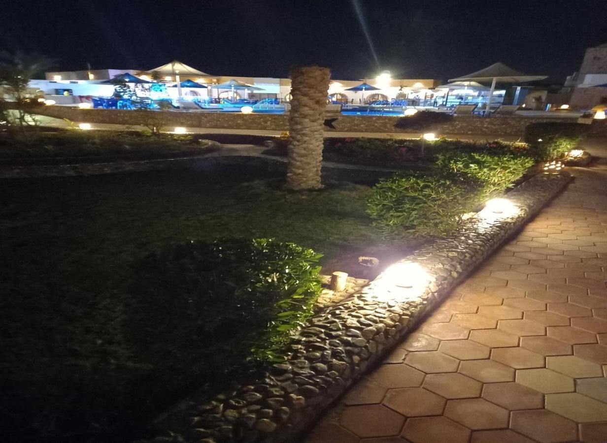 Dolphin Continental 3*