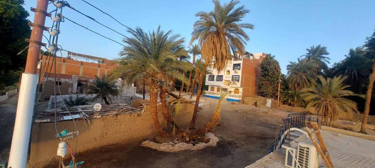 Guest house White House Aswan