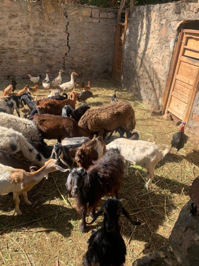 Nubian Farm *