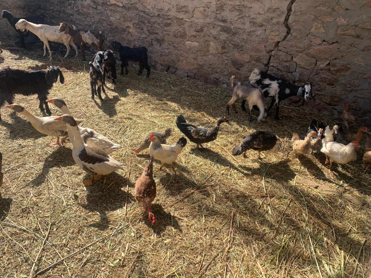 Bauernhof Nubian Farm