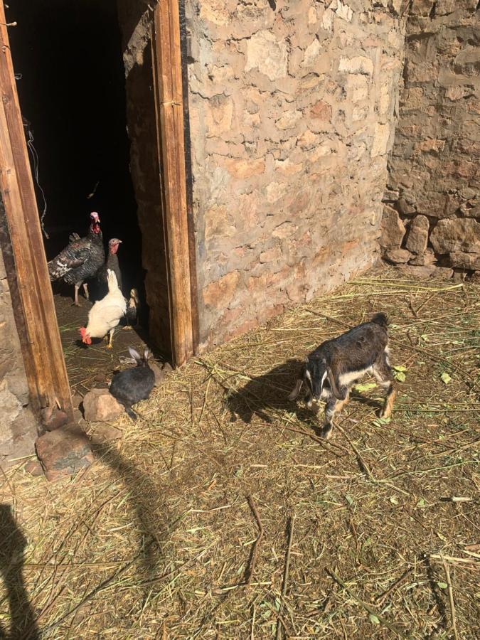 Nubian Farm *