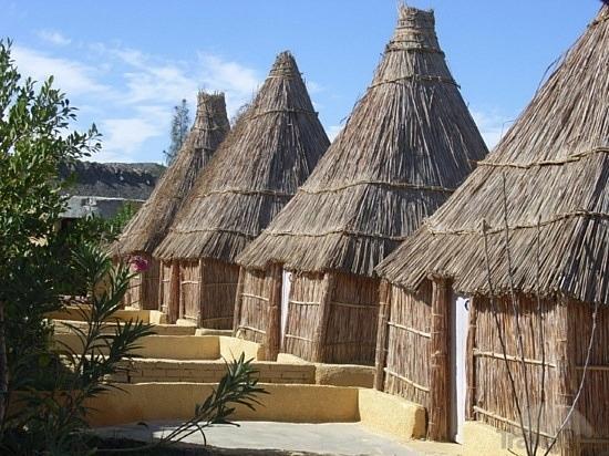 Badry Sahara Camp