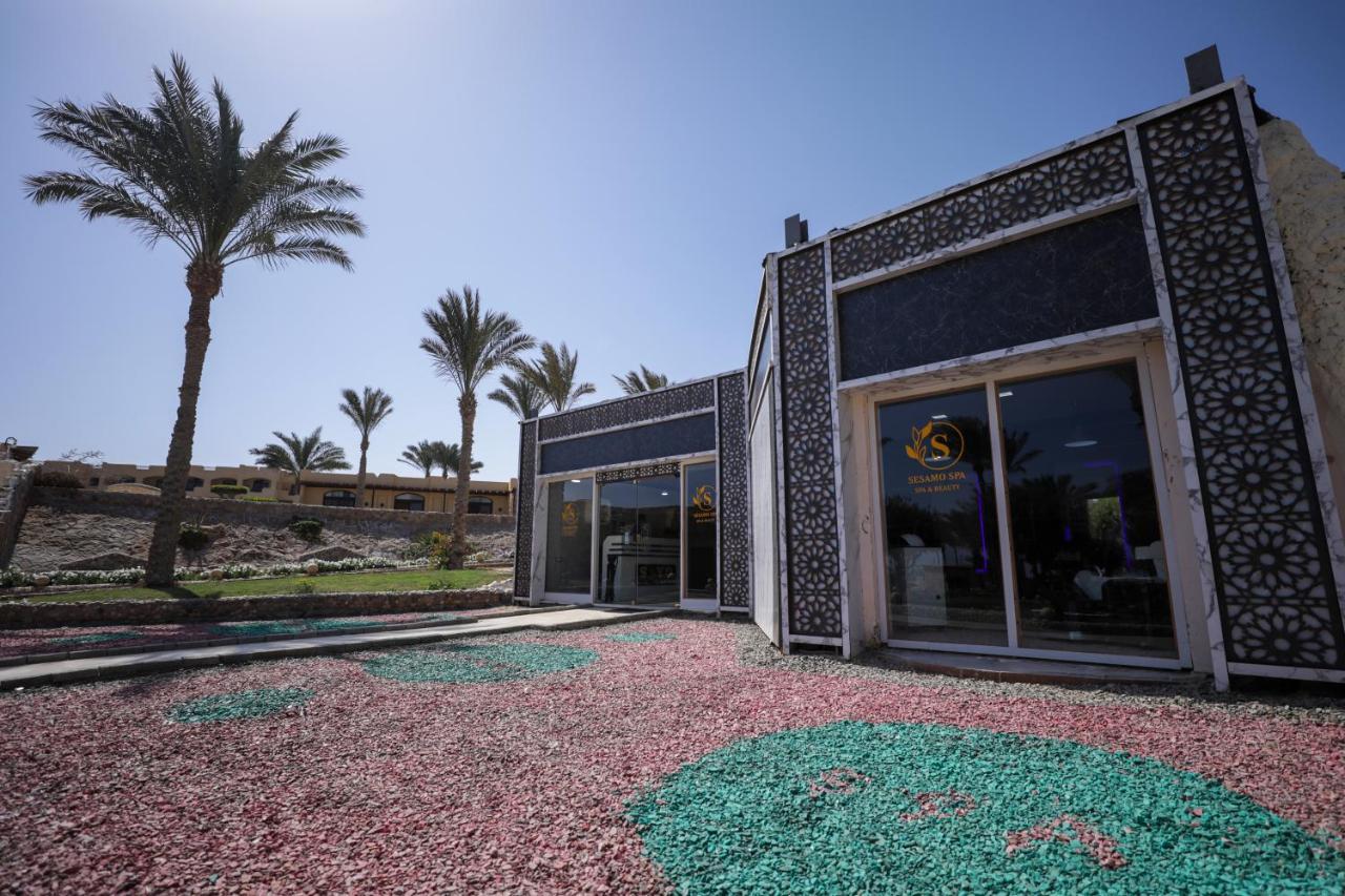 Blend Elphistone Marsa Alam Abu Dabab