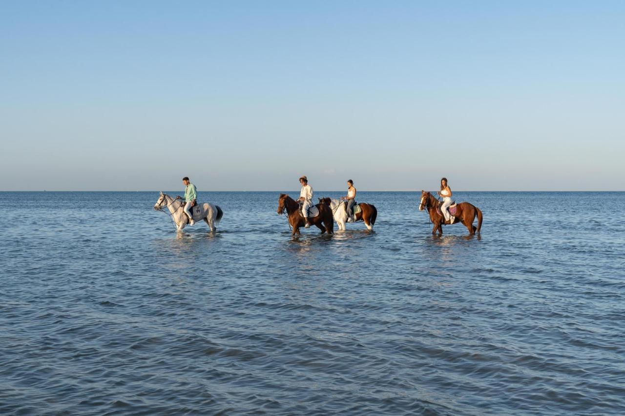 Ancient Sands Golf And Residences 5* Hurghada