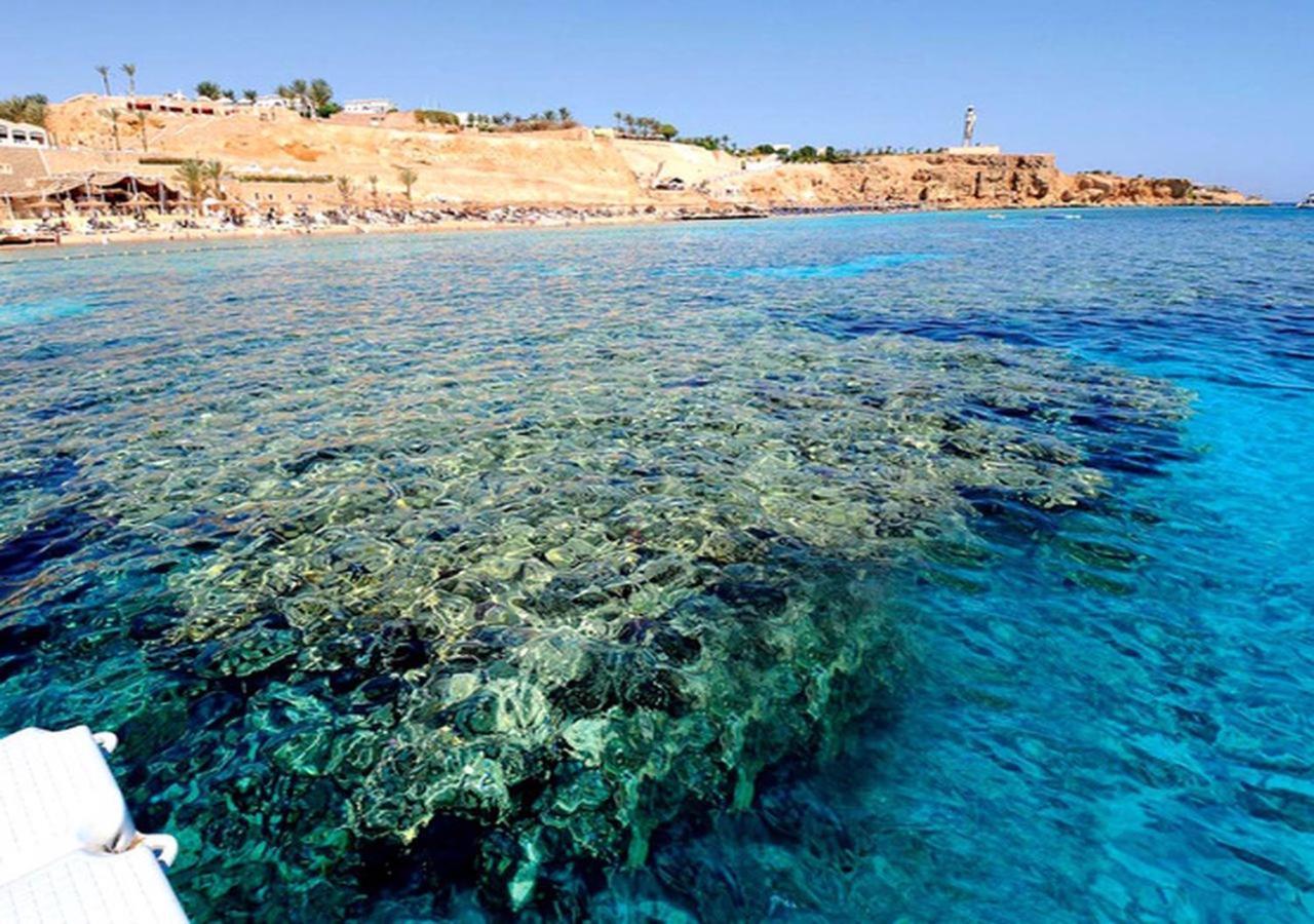 Al Crown Apartment Sharm el-Sheikh