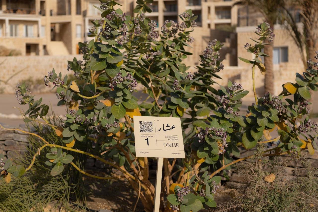Wadi Sabarah *