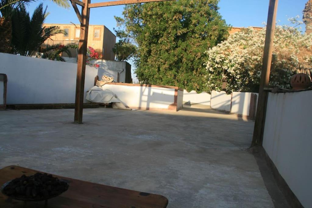 Elena Villa *