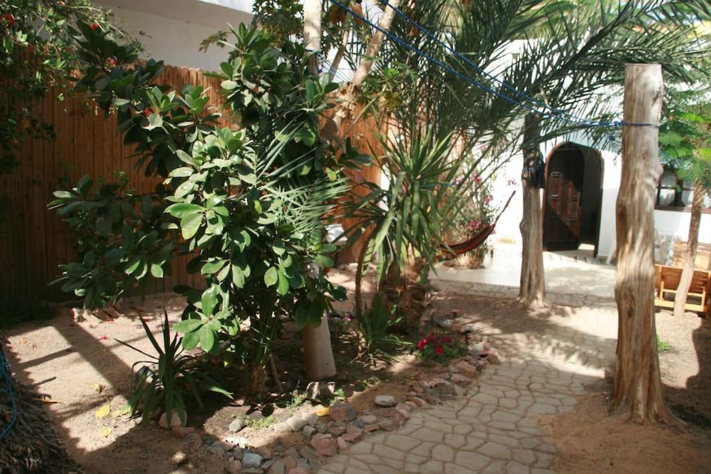 Elena Villa Dahab
