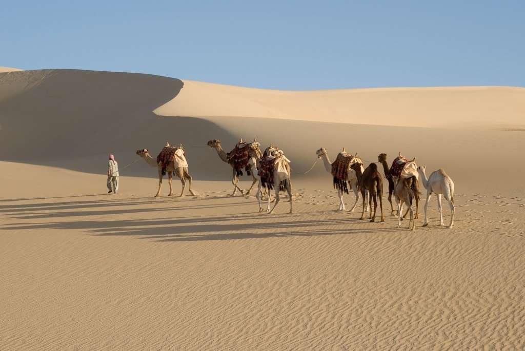 Taziry Siwa Siwa Oasis