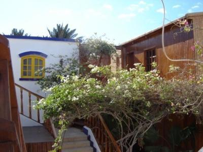 Neptune Hostel Dahab