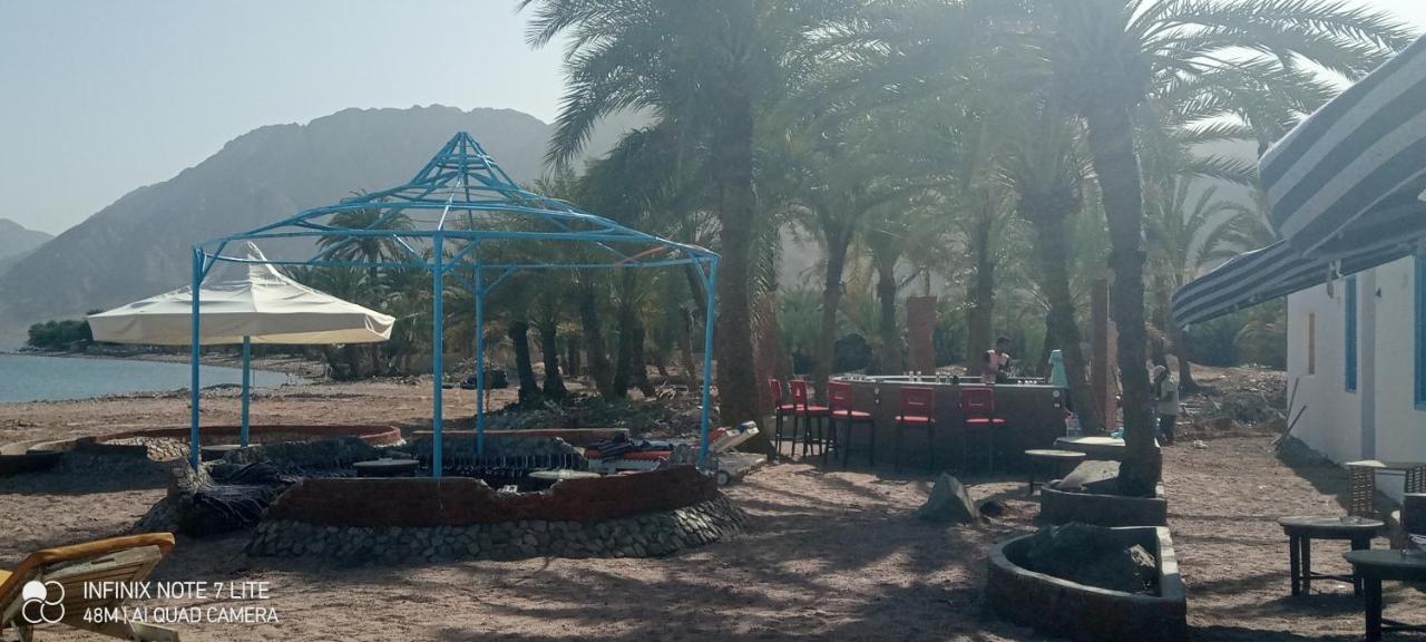 Palm Valley Camp *