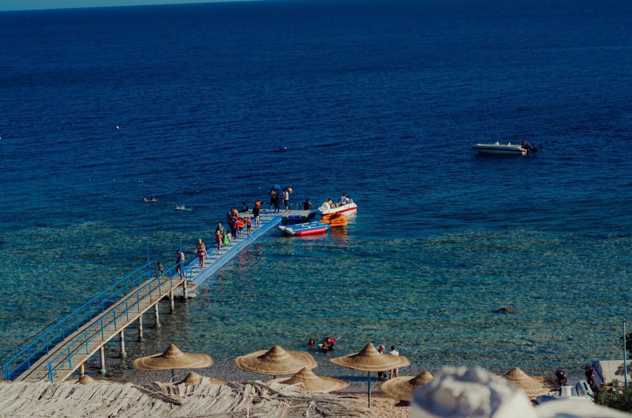 Resort Sharks Bay Oasis Aqua Park