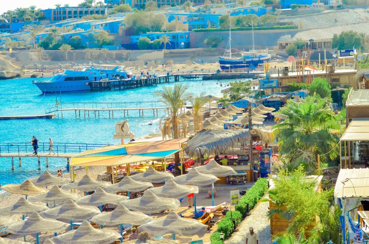 Sharks Bay Oasis Aqua Park Resort 3*