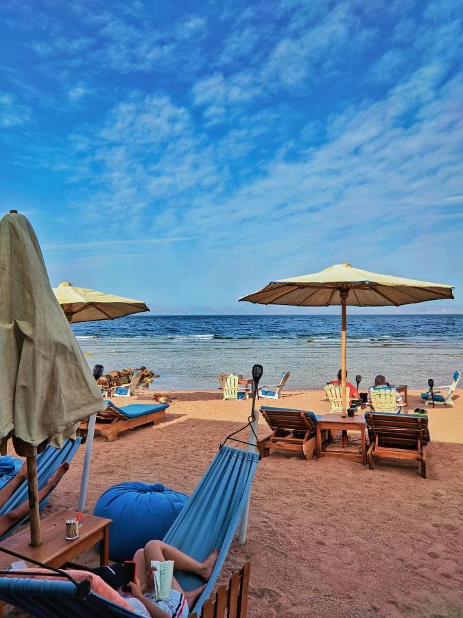 Ghazala * Dahab
