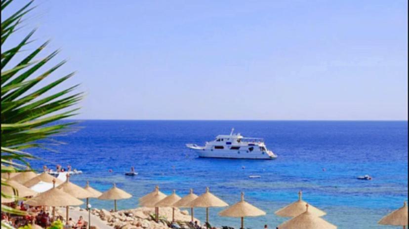 Domina Coral Bay Diving Casino Sultan Hotel Sharm el-Sheikh