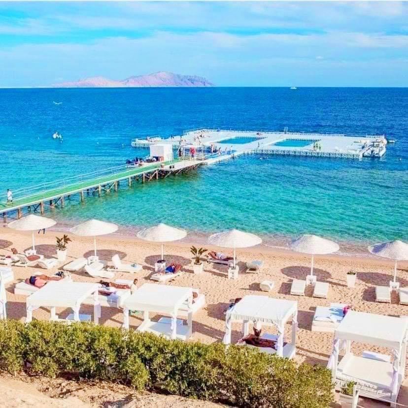 Domina Coral Bay Diving Casino Sultan Hotel Sharm el-Sheikh